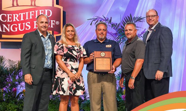 J&B Wholesale Distributing recognized for export sales