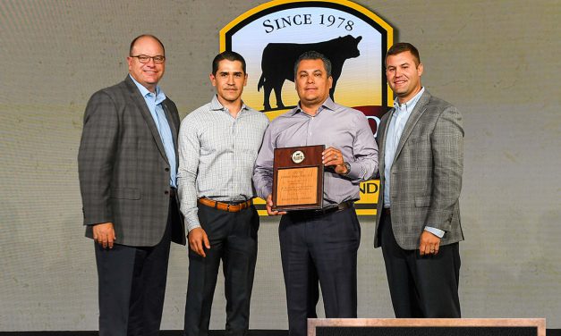 Amigos Foods – Houston Recognized for Sales