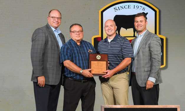 Giant Eagle recognized for beef