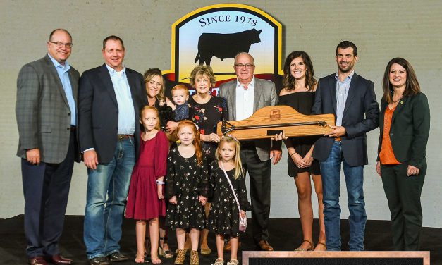 All-in Cattle Feeding