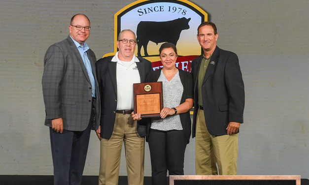 Schweid & Sons Recognized for Sales