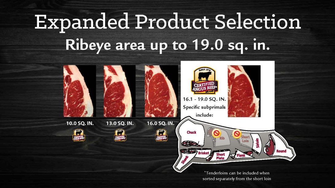 Certified Angus Beef ® Specifications Expand News from Certified