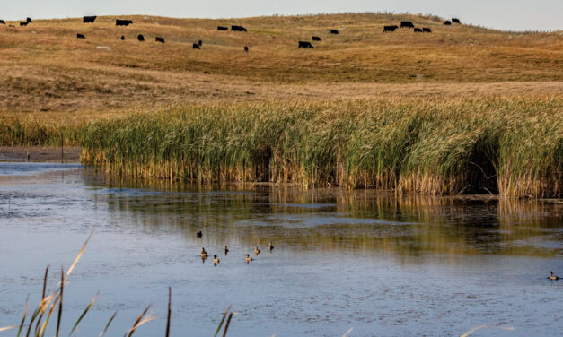 Range and Water