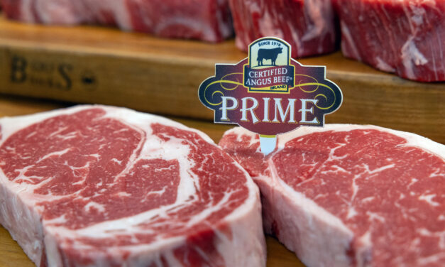 A Movement Rooted in Quality