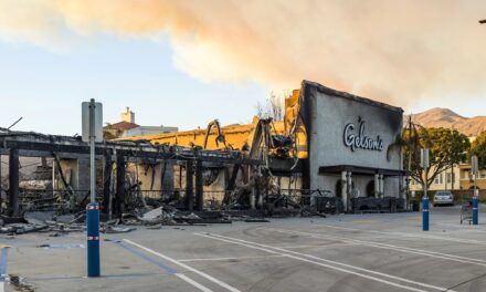 What Fire Can’t Take